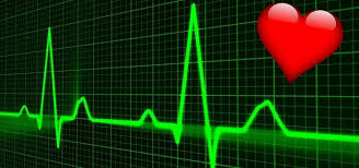 Heartbeat Sound Effect Free Sound Clips Human Sounds