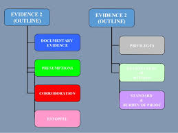 Written documentary evidence ( lekhya pramanas), property under enjoyment for a considerable time ( bhukti), eyewitness account ( saakshi) and divine evidence ( daivikam). Evidence 2