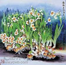 国画水仙花图片 国画水仙花作品 水仙花的简单画法 painting art