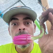 Does anyone know where I can purchase a Pawpaw tree? East central Louisiana