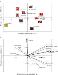 A Study To Guide Breeding Of New Cultivars Of Organic Cherry Tomato Following A Consumer Driven Approach Sciencedirect