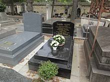 Dès le soir même, les trois mousquetaires furent prévenus de l'honneur qui leur était accordé. Michele Morgan Wikipedia
