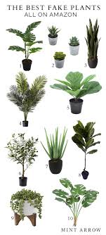 Search for fake plants and save time with us! The Best Fake Plants All On Amazon Mint Arrow