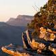 Halls Gap Market event image