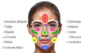 Donde Tienes Acne Y Que Problema De Salud Sufres