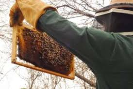 Noi suntem robii lui, nu gasca lui de amici de bautura. Avem Dovezi CÄƒ Dumnezeu ExistÄƒ De Unde SÄƒ È™tim CÄƒ El ExistÄƒ Cu AdevÄƒrat