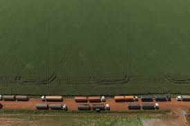 Agropecuária tem alta de 11,7% e puxa PIB do Brasil em 2025