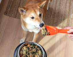 Check spelling or type a new query. My Dog Won T Eat Kibble Now What American Kennel Club