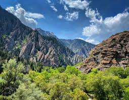 Nadia Ewing (@NadiaEwingN5D)