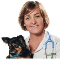 50+ "Bohrer" profiles