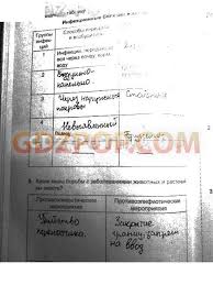 контрольные и самостоятельные работы по математике 4 класс петерсон Uchebnik Po Matematike 4 Klass Peterson Goryacheva Gdz Samostoyatelnye I Kontrolnye Post Person Personalized Items