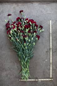 Maybe you would like to learn more about one of these? Pin On Floret