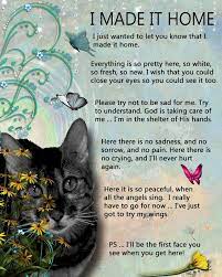 Art Print For Someone Who Has Lost A Pet After The Death Of A Pet I Made It Home Pet Loss Quotes Cat Loss Cat Quotes