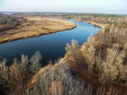 Three decades later, it's not it may seem strange that chernobyl, an area known for the deadliest nuclear accident in history, could without people hunting them or ruining their habitat, the thinking goes, wildlife is thriving despite high. How Radiation Is Affecting Wildlife Thirty Years After The Chernobyl Disaster