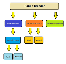 market rabbit industry meat production