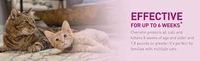 Amazon Com Cheristin For Cats Topical Flea Prevention Starts Killing Fleas In 30 Minutes 6 Doses Pet Supplies