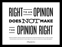 Right To An Opinion Does Not Make The Opinion Right Opinion Quotes Business Quotes Funny Respect Quotes
