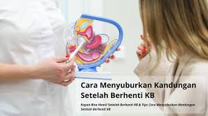 Jika anda seorang ibu mengandung, pastinya perkara wajib yang anda perlu lakukan apabila usia kandungan memasuki 28 minggu atau 7 bulan adalah dengan mengira dan melakukan pemantauan pergerakan bayi didalam kandungan. Cara Menyuburkan Kandungan Setelah Berhenti Kb Primaya Hospital