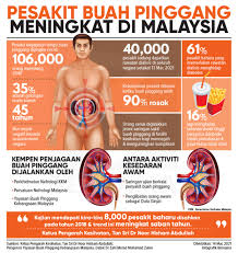 Buah pinggang antara organ yang sangat penting dan berperanan mencuci darah dari sisa buangan serta lebihan air yang diperlukan tubuh. Dermakan Buah Pinggang Demi Melihat Orang Lain Kembali Sihat Sanggupkah Anda Utusan Borneo Online