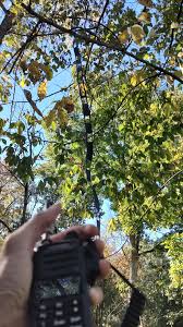 Resultado de imagem para antenna slim jim