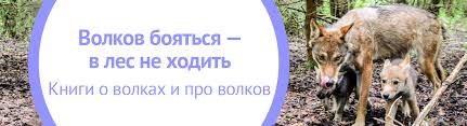 что значит пословица волков бояться в лес не ходить Volkov Boyatsya V Les Ne Hodit My Shop Ru