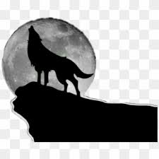 Find them out in the forest, woodlands, mountains or tundra. Freetoedit Wolf Moon Silhouette Howling Night Wildlife Howling Wolf 3d Model Clipart 796122 Pikpng