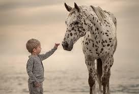Twinkle twinkle little one offers a baby registry, baby gifts and additions for your baby nursery or child's room. Hd Wallpaper Photography Child Boy Horse Little Boy Wallpaper Flare