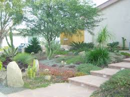 Most cacti and succulents can be easily propagated from stem or leaf cuttings, as explained below. Front Yard Cactus Succulent Garden