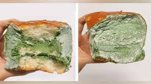 Makanan basi sebaiknya tidak dimakan, karena ada kemungkinan mengandung mikroba dan/atau racun yang dapat membahayakan tubuh. Toko Kue Di Cina Produksi Roti Berbentuk Makanan Basi Foto Tempo Co