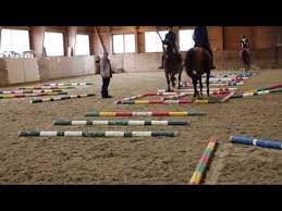 teilnahme am stangenkurs bei nadja machler reiten springreiten pferde training
