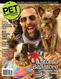 5 TIPSfor Stress-Free Walks