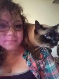 Lost cats in Redington Shores, FL