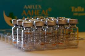 Jun 17, 2021 · esta vacuna se presenta en un vial (frasco pequeño) de 0,5 ml con una dosis. Estudio Ministerio Salud Uruguayo Determina Vacuna Sinovac Reduce 95 Mortalidad Adultos Coronavirus 24horas