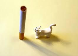 Cats can suffer from the same types of illnesses related to smoke that humans do, including respiratory illnesses, cancer, and heart disease. How Smoking Harms Pet Health The Dangers Of Second Hand Smoke For Pets Petmd
