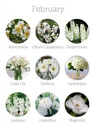 Delicati ed eleganti, sono perfetti per il giardino e per il balcone. Nomi Fiori Bianchi Matrimonio