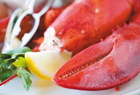 sie geniessen ein einmaliges 4 gang menu mit variationen von fangfrischem hummer aus unserem seewass kanadische kuche lebensmittel essen gefullte paprikaschoten