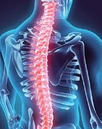 It's time to learn about the last two back. What Is Upper Back Pain And What Can Cause It Apex Medical Center Pain Management Physicians