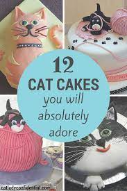 Jun 17, 2021 · 61. 49 Cat Birthday Cakes Ideas Cat Cake Cupcake Cakes Animal Cakes