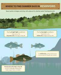 Pin On Bass Fishing