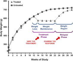 Frontiers Modeling Diet Induced Obesity With Obesity Prone