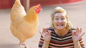Lift your spirits with funny jokes, trending memes, entertaining gifs, inspiring stories, viral videos, and so much. 2 Quiet Chicken Breeds That Won T Annoy Your Neighbors Youtube