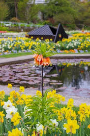 Botanischer Garten Aktivitaten Fur Kinder Ausflugsziele Munchen Vuvivi