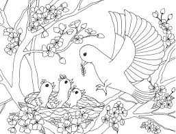 I am thankful for birds and insects; 500 Birds Insects Etc Coloring Pages Ideas Coloring Pages Coloring Books Colouring Pages