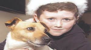 Meath family reunited with dog six months after he went missing