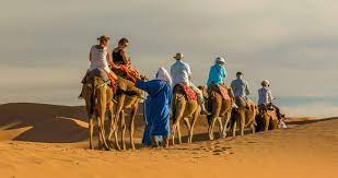 Camels are quieter and gentler than horses. Horse And Camel Riding In Morocco Athene Of Africa