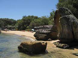 Milk Beach Sydney Beaches Secluded Beach Hidden Beach