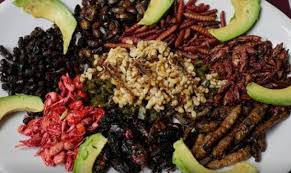 Resultado de imagen de antropologia comida