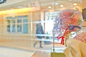 Read on for some hilarious trivia questions that will make your brain and your funny bone work overtime. 100 Science Trivia Questions And Answers Trivia Quiz Night