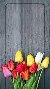 Wallpaper Bunga Tulip 170273 Flower Wallpaper Flowery Wallpaper Spring Wallpaper