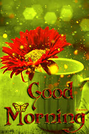 Lovethispic is a place for people to share happy friday pictures, images, and many other types of photos. Red Rose Romantic Good Morning Gif